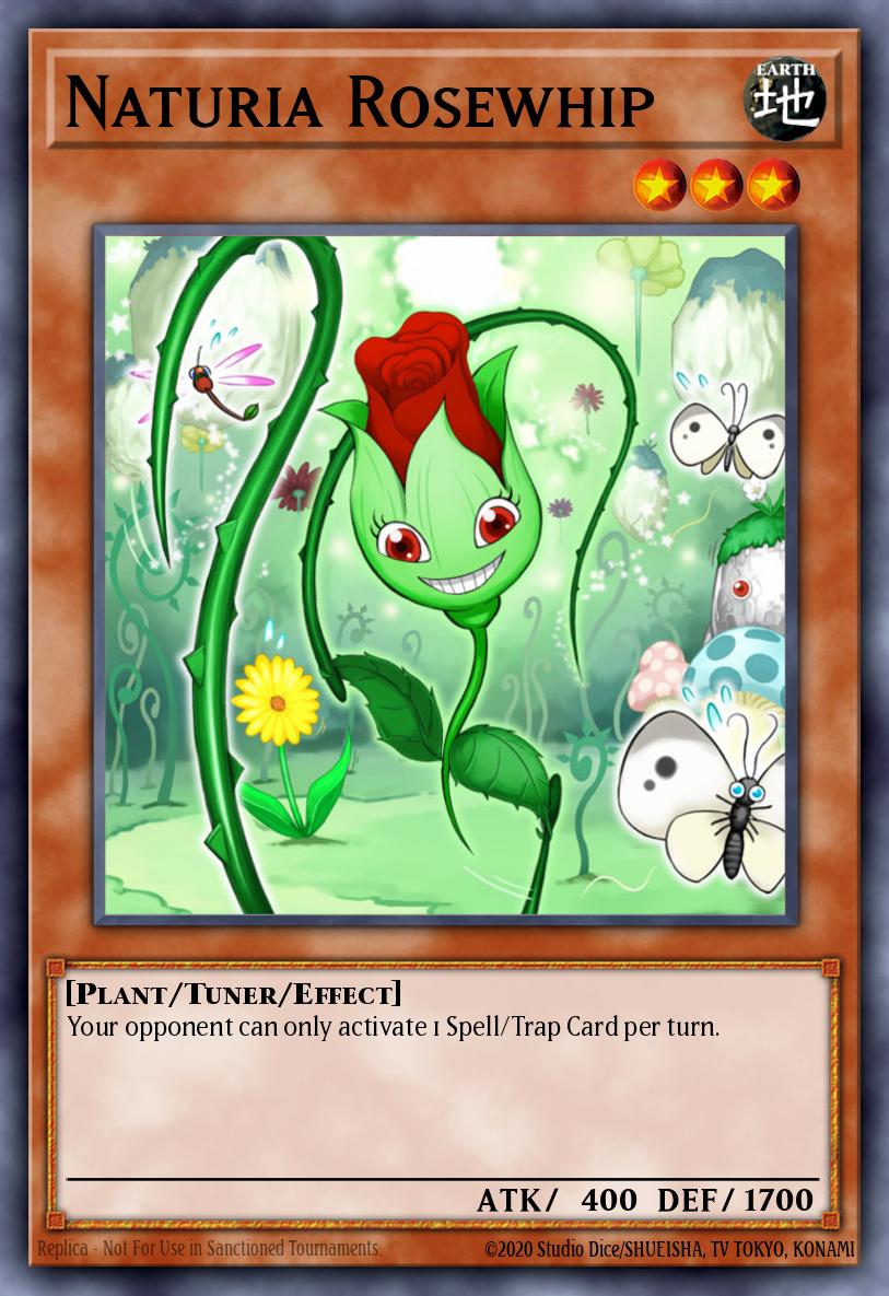 Naturia Rosewhip