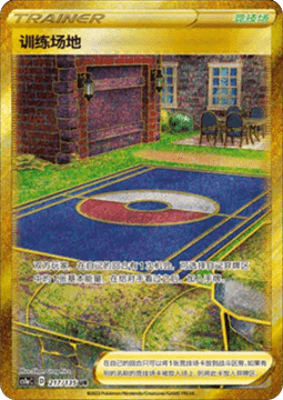 Training Court