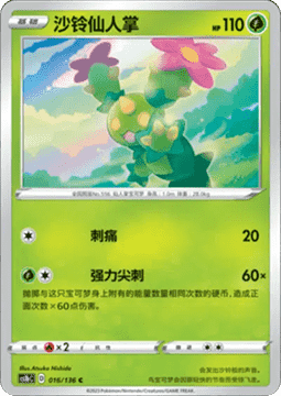 Maractus