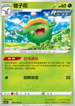 Skiploom