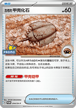 Antique Dome Fossil