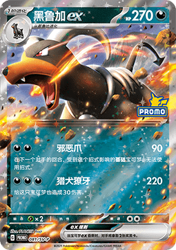 Houndoom ex